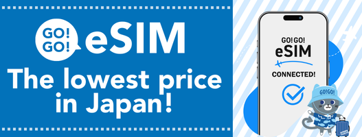 eSIM