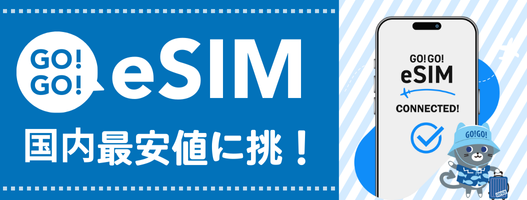 eSIM