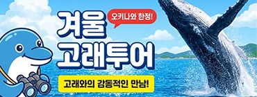 고래워칭