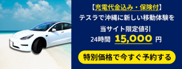 テスラ沖縄レンタカー