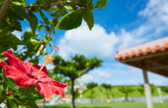 沖縄の気候