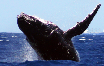 沖縄の冬の防寒対策