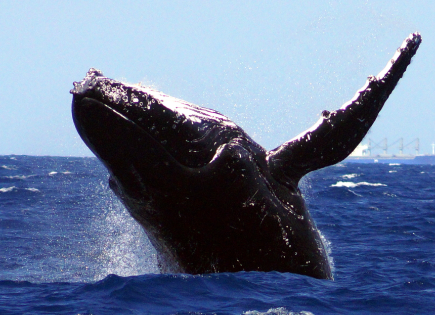 沖縄の冬の防寒対策