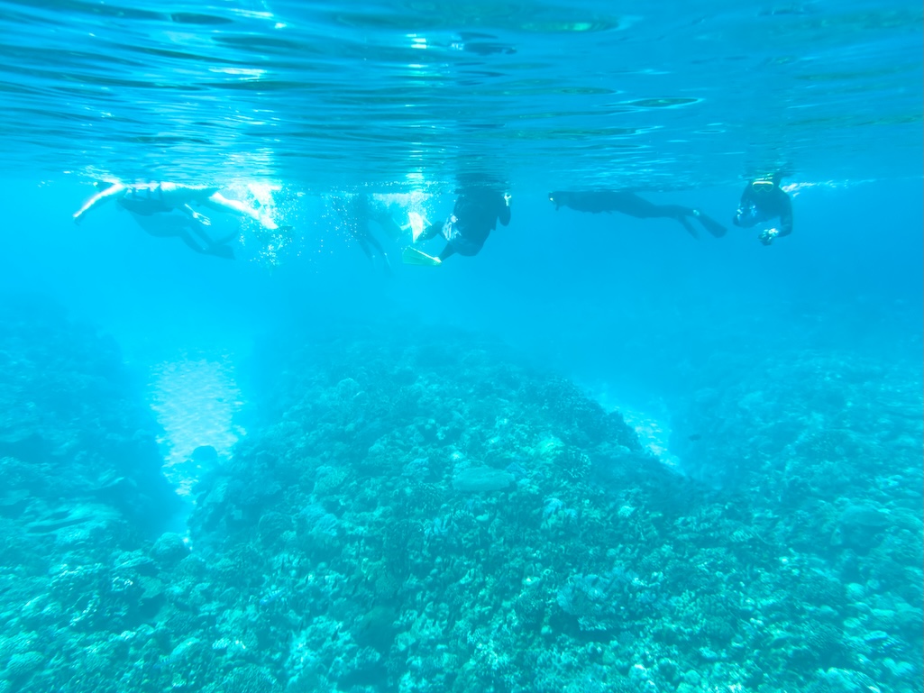 水納島で透明な海の中の珊瑚礁の上に浮かぶシュノーケラーたち