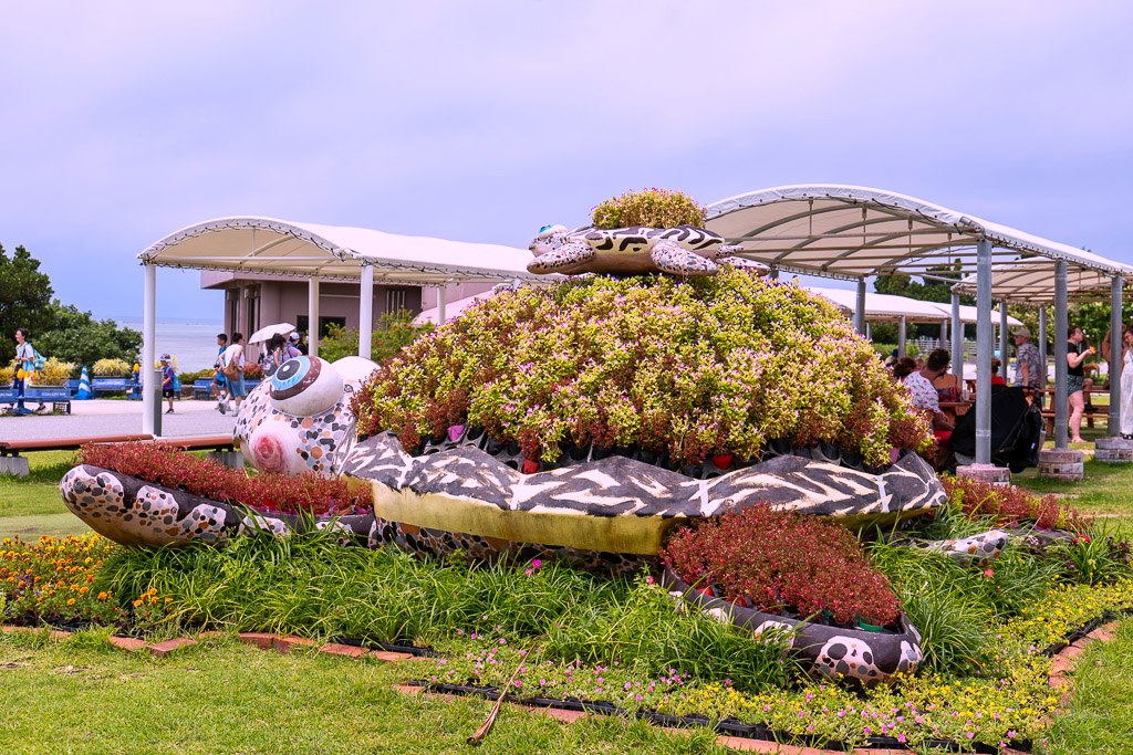 海洋博公園の芝生広場にあるウミガメの花壇アート