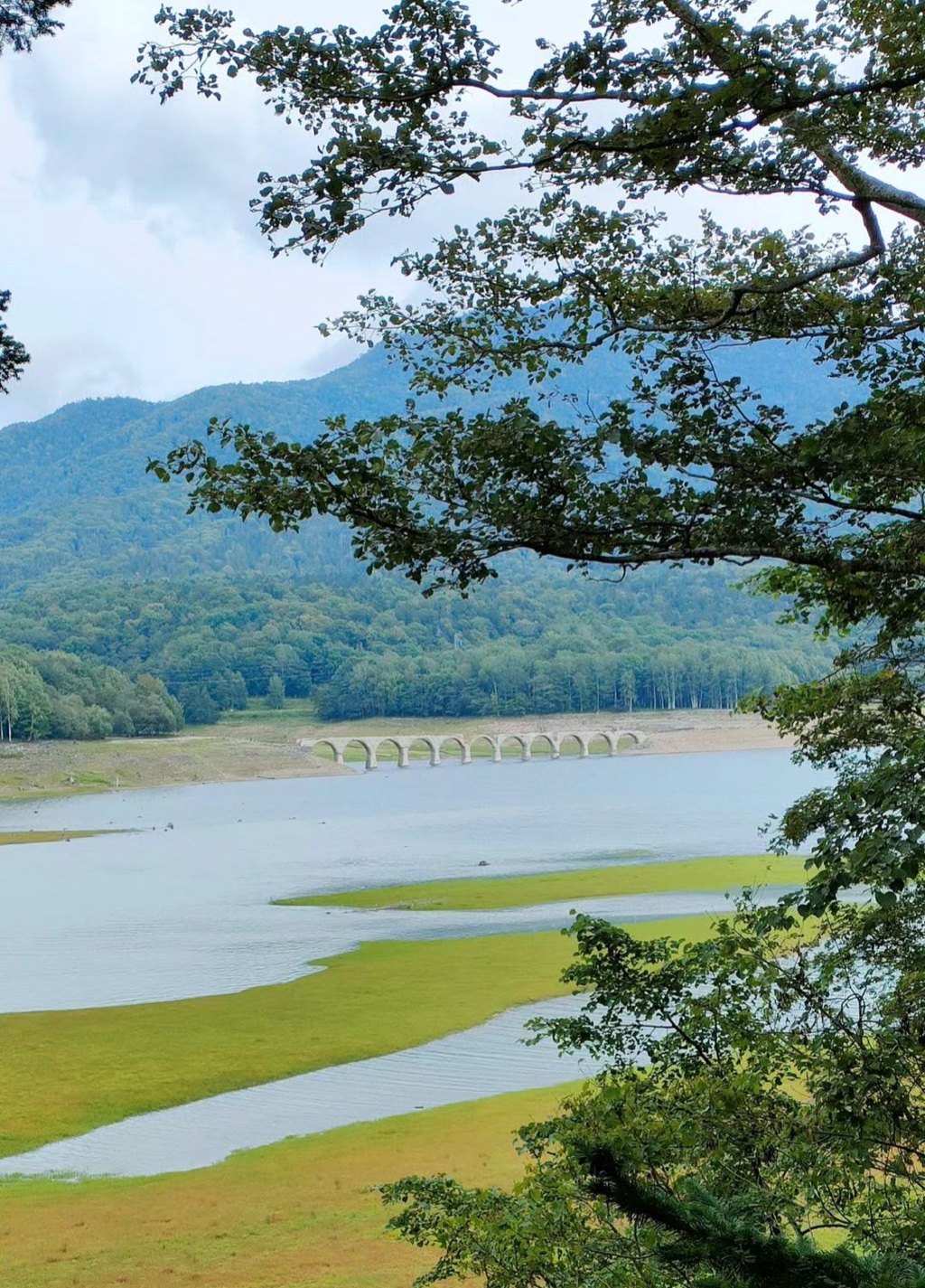タウシュベツ川橋梁 — 8月に糠平湖から姿を現すコンクリートアーチ橋