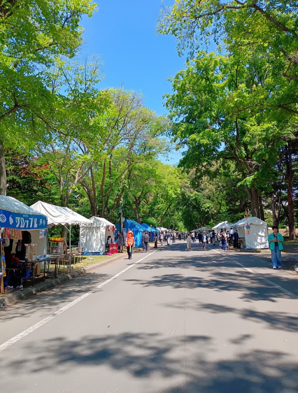 北海道大学の北大祭 — 学生たちが運営する屋台と模擬店