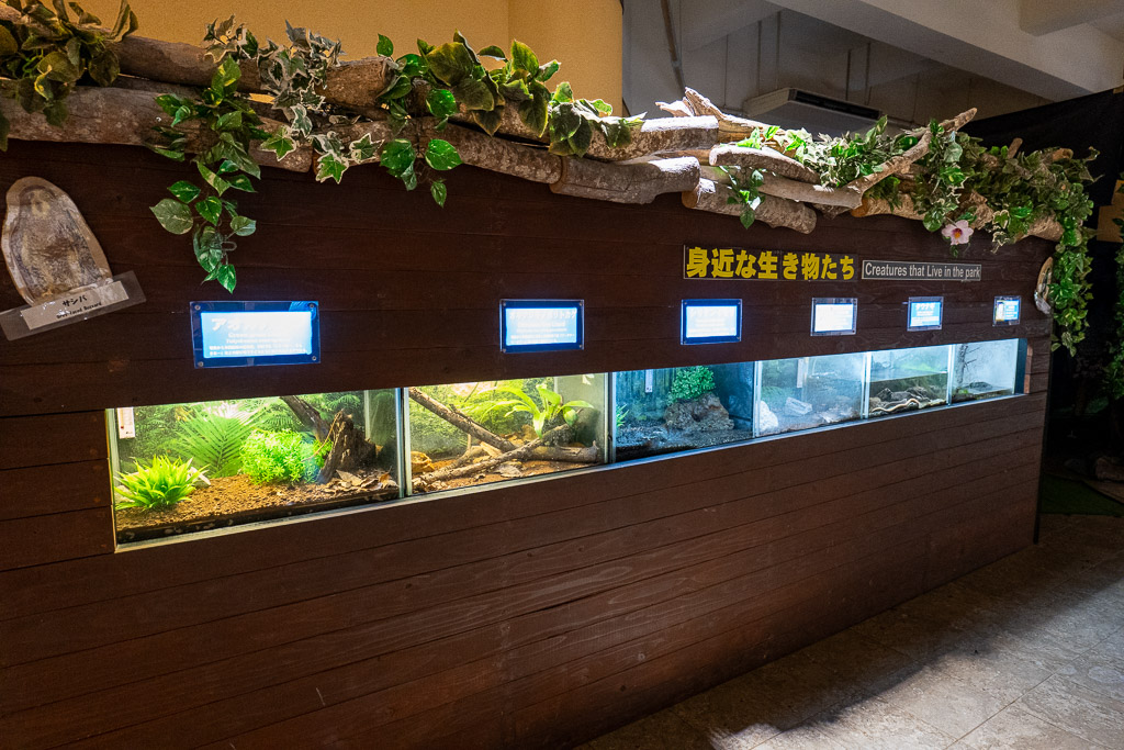 MAIN HOUSE内の身近な生き物たち水槽展示コーナー