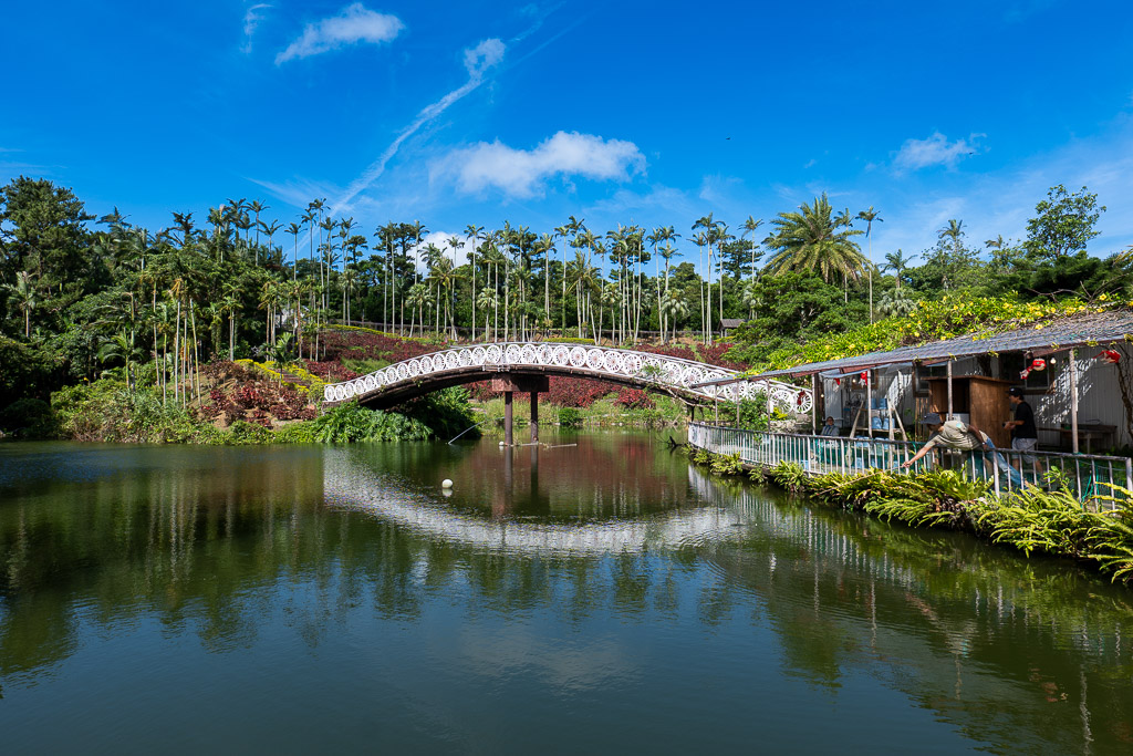湖面に映り込む東南植物楽園の白いアーチ橋
