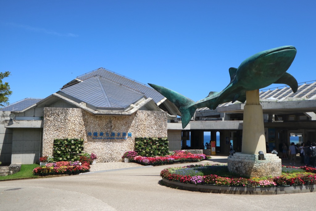 沖縄美ら海水族館の正面エントランス ジンベエザメのブロンズ像と花壇 有料入館の入口