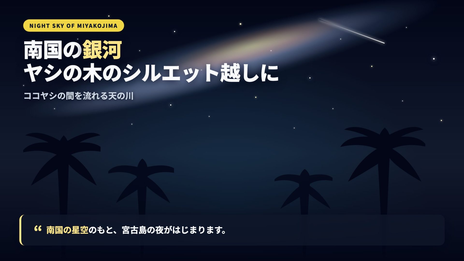 宮古島 南国の星空・銀河シルエット — ヤシの木の下の星空