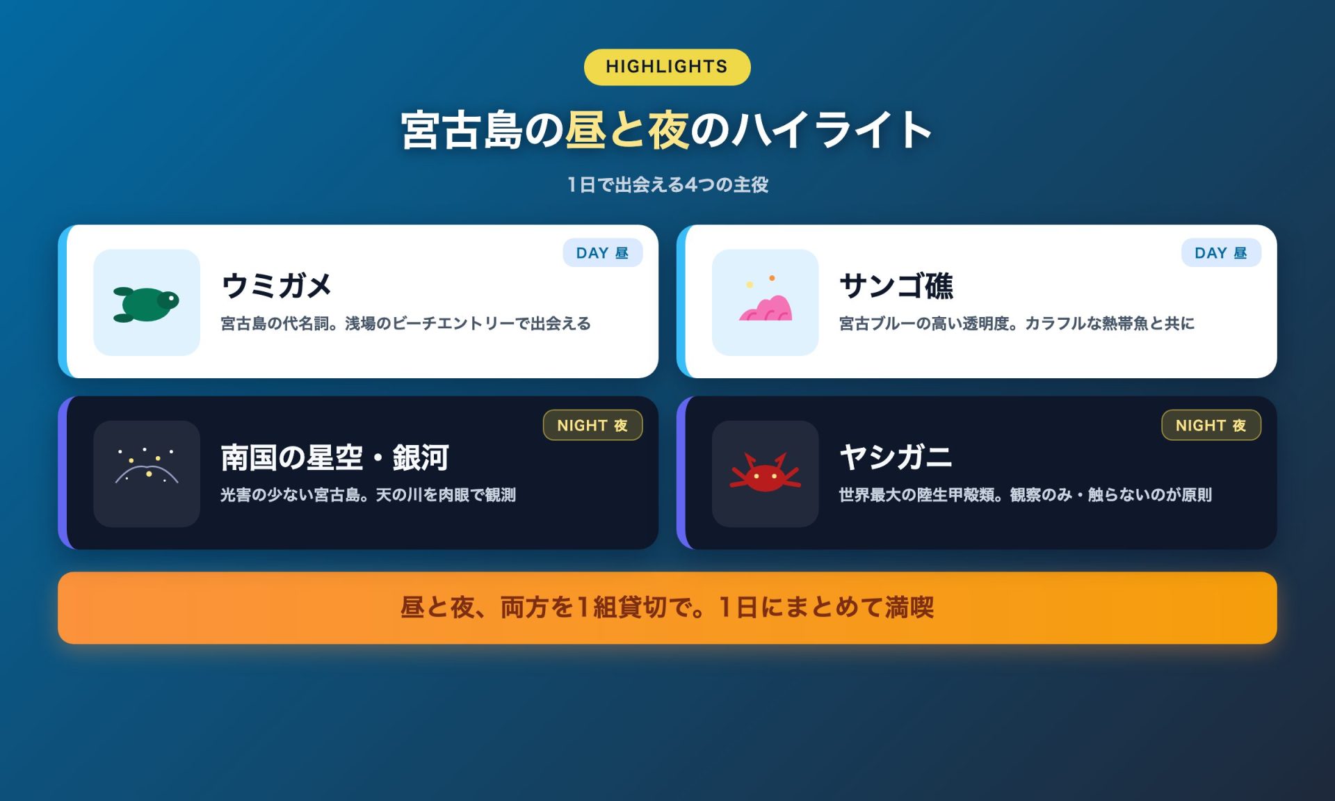 宮古島の夜に出会う生き物 — ヤシガニ・オカヤドカリ・コウモリ・ヤモリの4セルグリッド