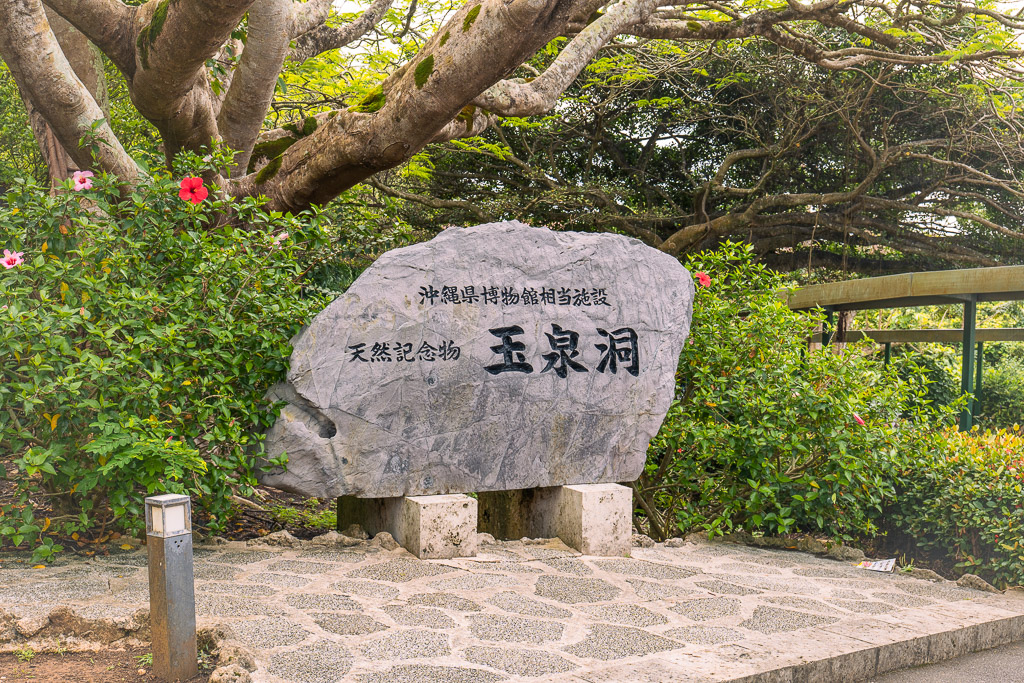 玉泉洞入口の「天然記念物 玉泉洞」と刻まれた自然石の記念碑と赤い花