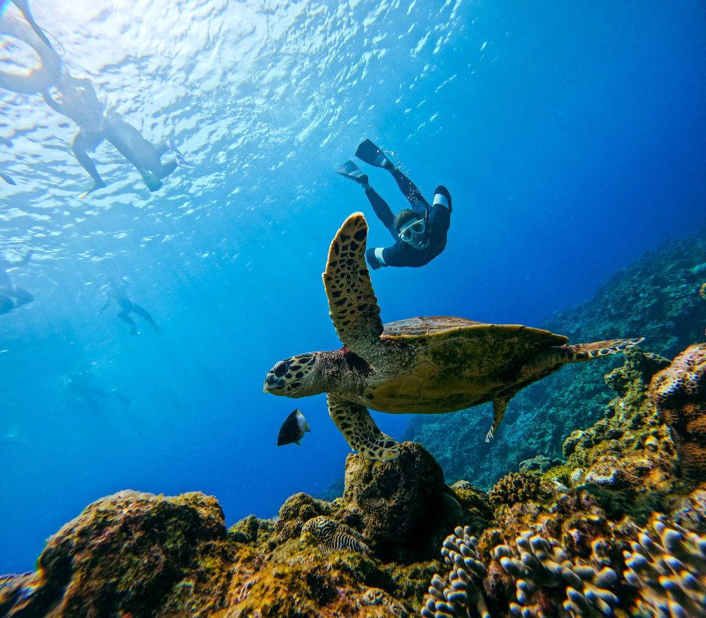 慶良間の海でウミガメと並んで泳ぐダイバー、海面にはシュノーケラーの姿