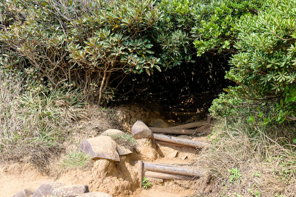 小さな大祖神社を抜けて緑のトンネル遊歩道入口へ — 糸島トトロの森