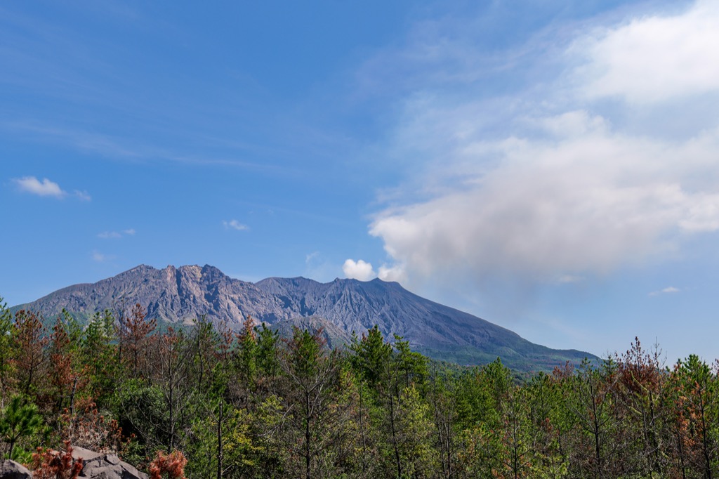 青空の下で山頂付近から噴煙が上がる桜島