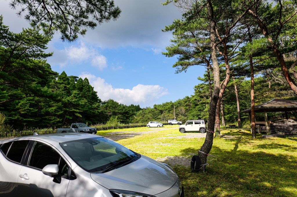 高千穂河原駐車場周辺の松林と山の風景