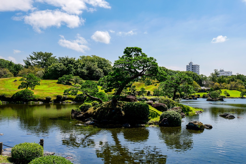水前寺成趣園の松と園路