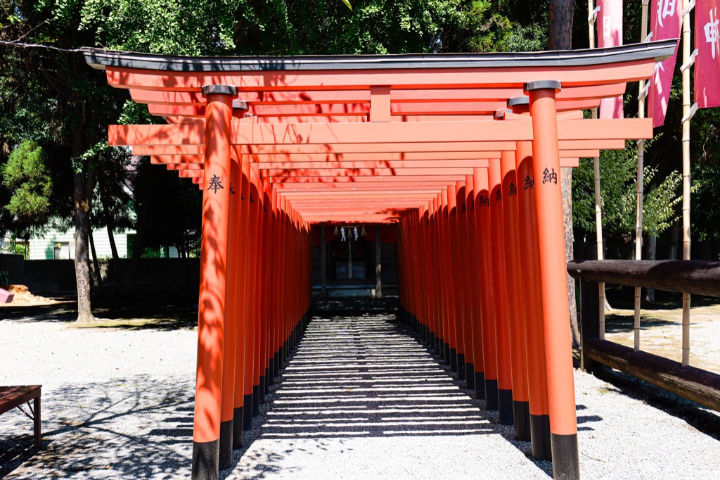 稲荷神社へ続く朱色の鳥居と参道の影
