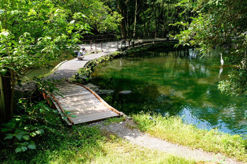 高千穂峡周辺の池と水辺の道