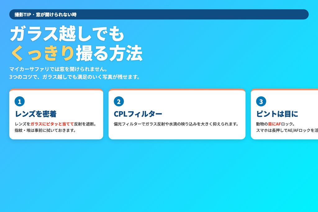 窓が開けられない時のガラス越し撮影3原則 — レンズ密着・CPL・ピントは目に