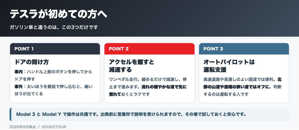 テスラ初体験の3つのポイント ドアの開け方 ワンペダル走行 オートパイロットは補助
