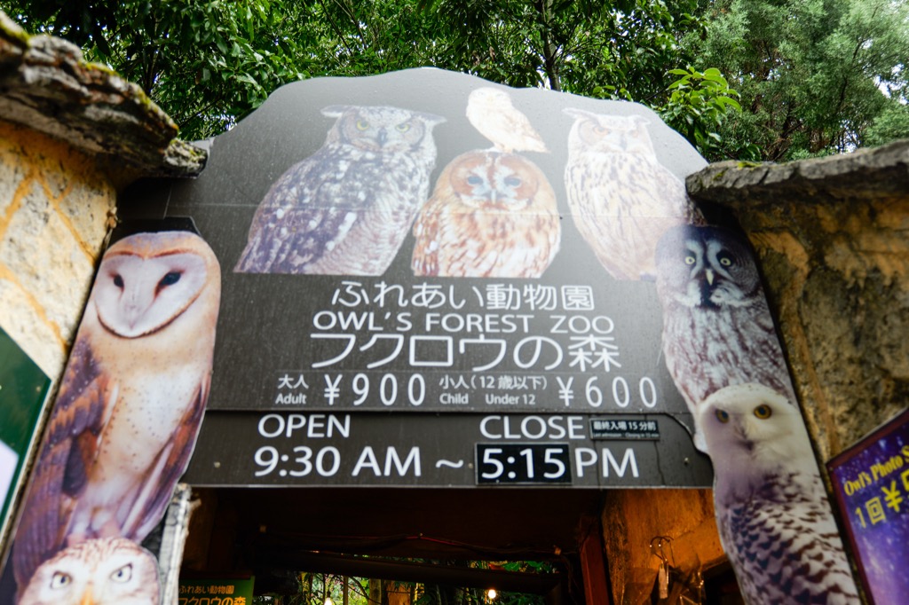 フクロウの森入り口の料金案内と館内のフクロウたち